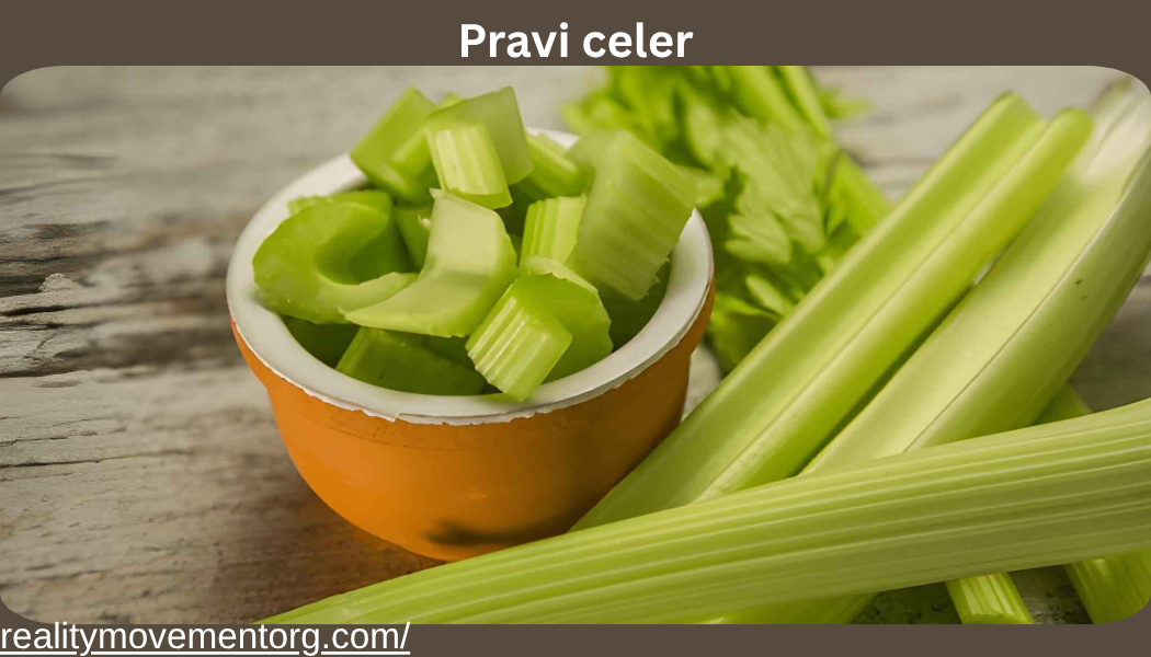 pravi celer
